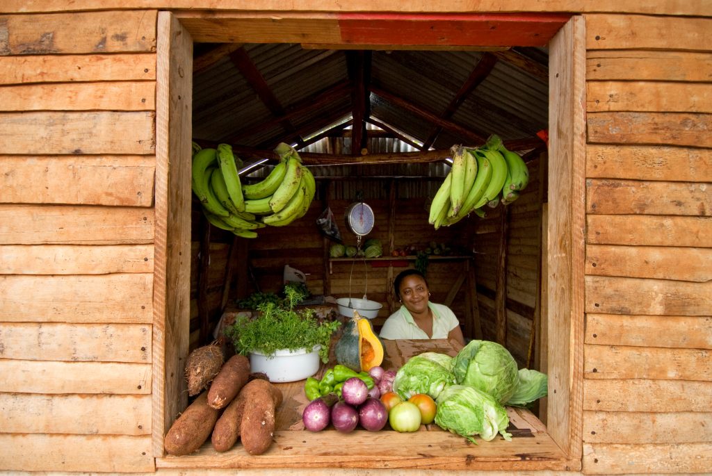 LatinA Tours Dominikanische Republik Laden Obst Gemüse