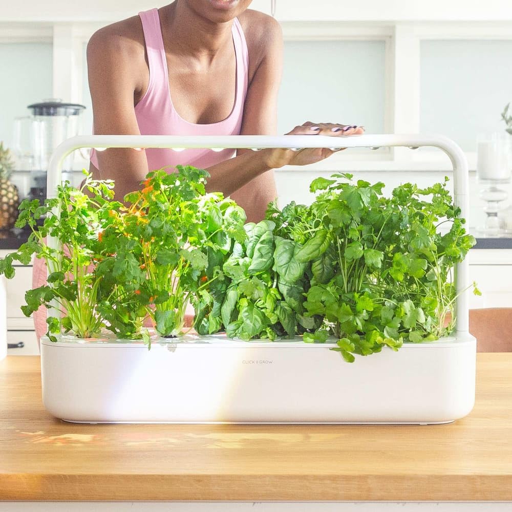 Combat food waste by growing your greens and herbs at home. 