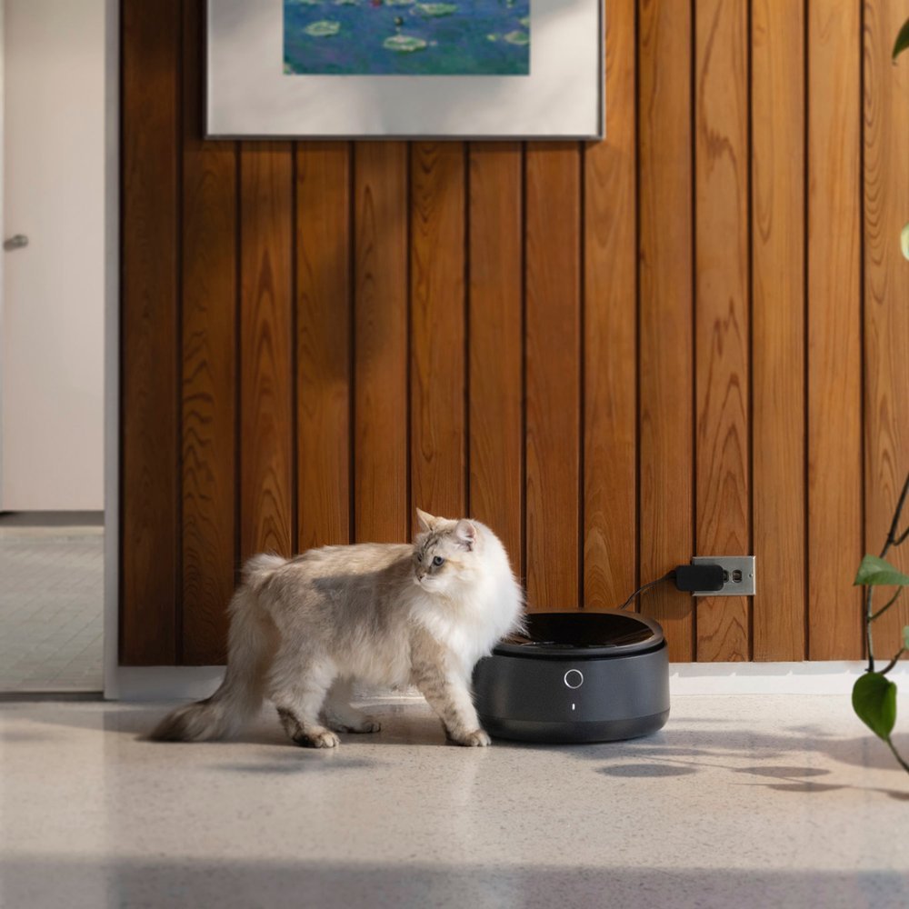 Simplify Your Pet's Mealtime with the Petlibro Polar Wet Food Feeder