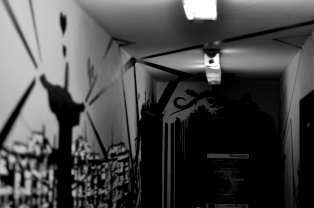 DSC_5534