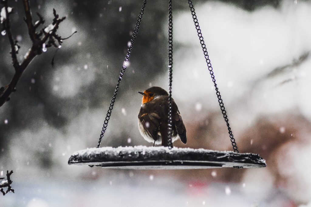 Wohnsinn: Weihnachtsstimmungsbarometer