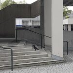 Die Berufe der Vögel