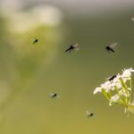 Mitbewohner:innen? Unerwünscht!