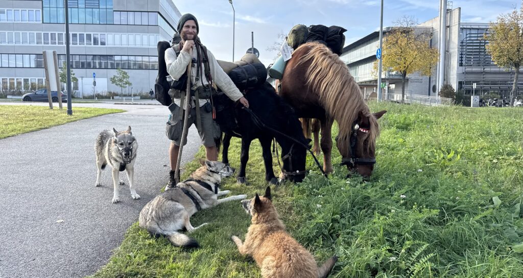 Auf der Durchreise: Skurrile Reisegruppe in Regensburg