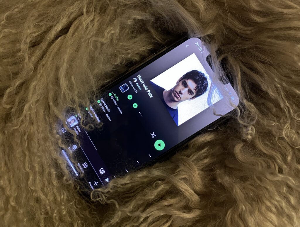 Gesellschaftskritische Mukke für starke Herzen: Apsilons »Haut wie Pelz«