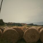 Schreibwerkstatt: »Aufwachen«