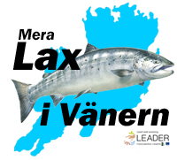 "Lax i Vänern" - ett projekt för bättre Laxfiske i Vänern.