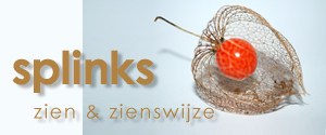 Logo Splinks