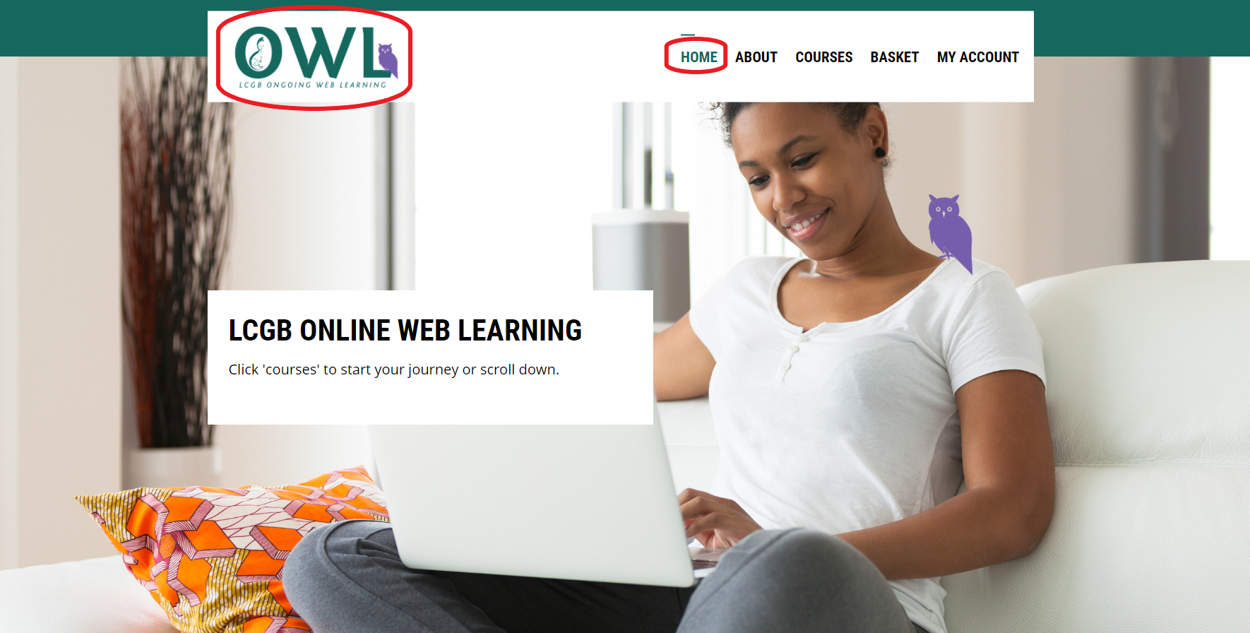 Home Page with OWL logo circled at top left