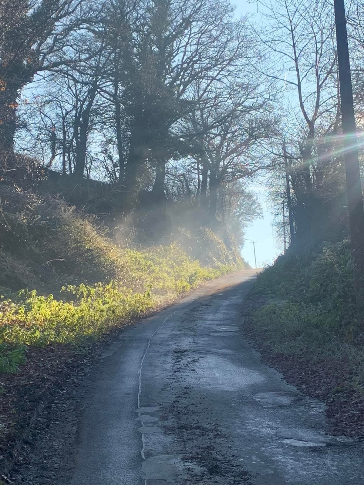 Chemin rayon de soleil