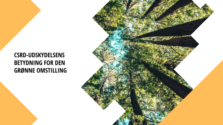 CSRD-udskydelsens betydning for den grønne omstilling