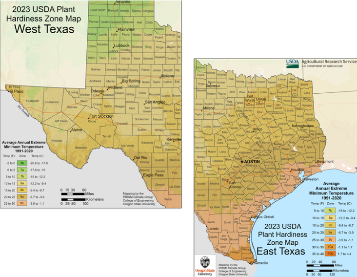 Texas Planting Conditions