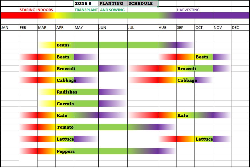 Zone 8 Planting Schedule Calendar