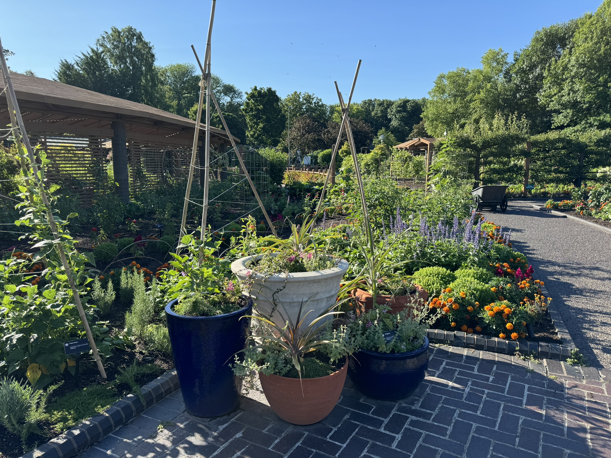 Missouri- Gardening