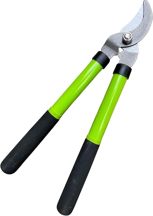 branch cutter