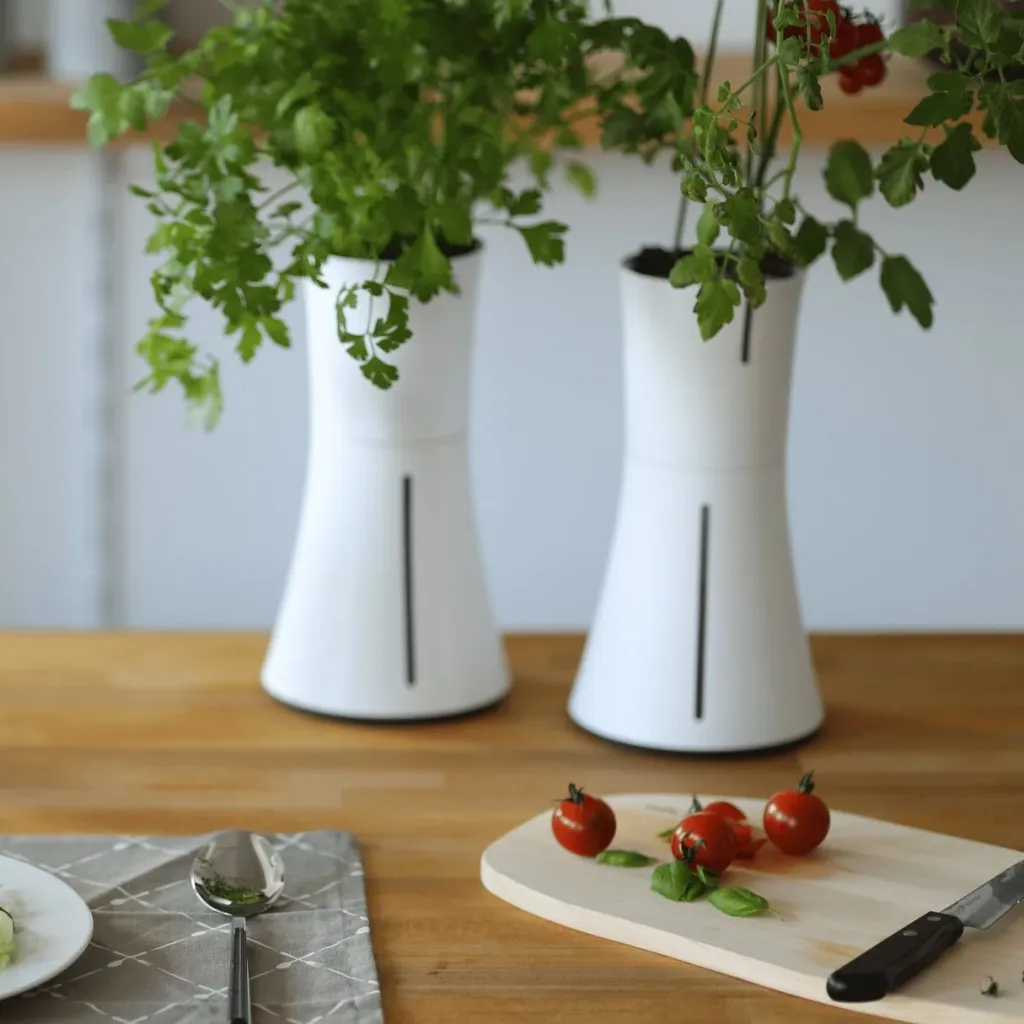 Grow plants with Botanium's Self-Watering Planter!