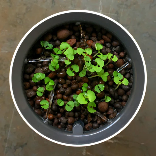 Botanium's Self-Watering system