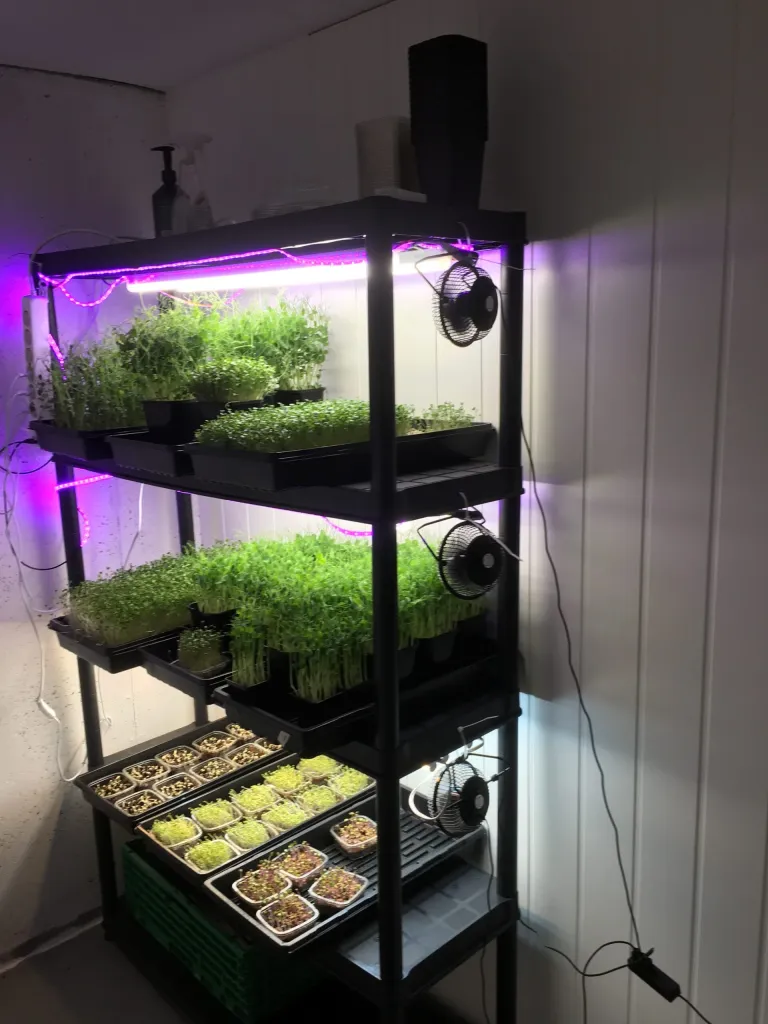 micro grow