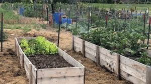 Nebraska gardening