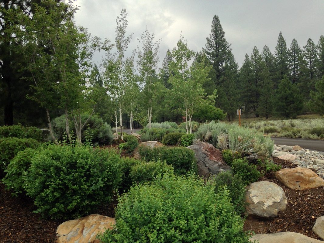 Nevada gardening