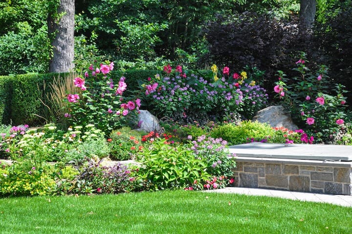 New Jersey gardening