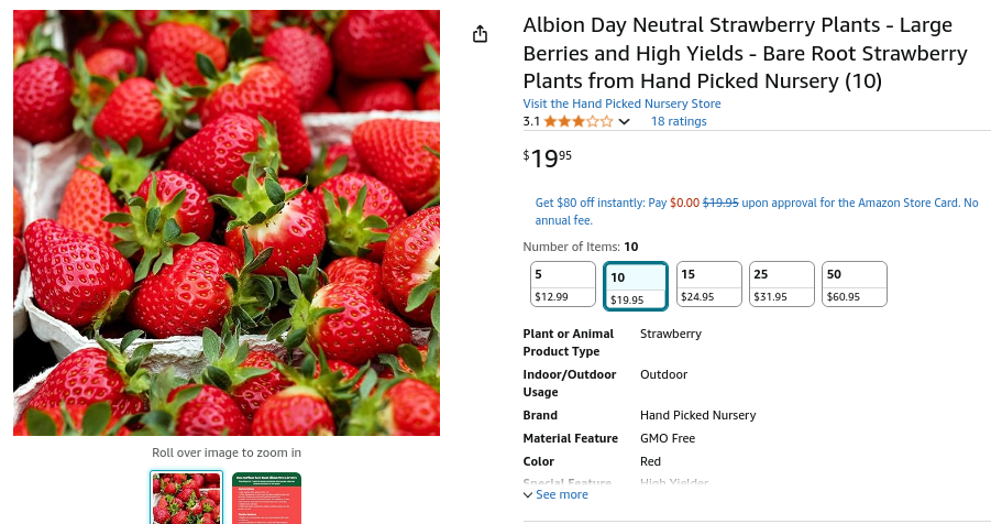 strawberry live plants from amazon