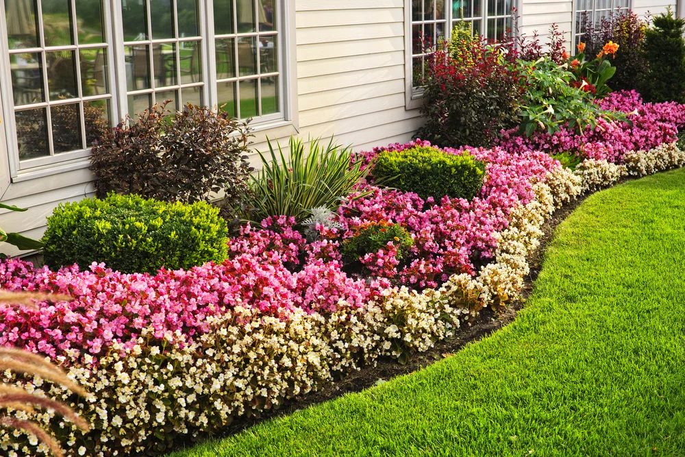 South Carolina gardening