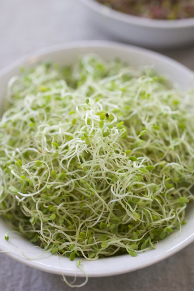 micro sprouts