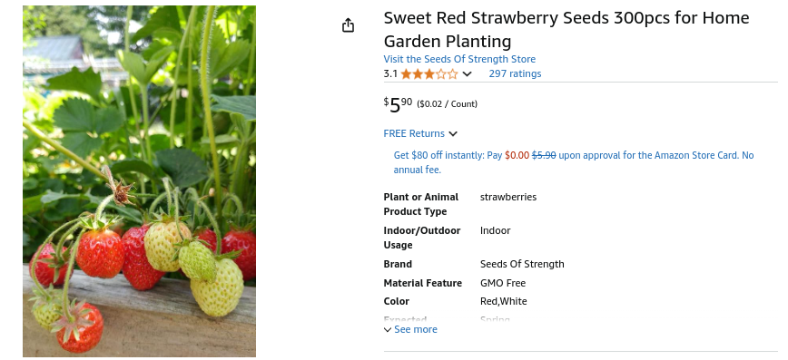 Strawberry seeds