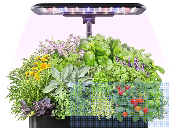 indoor vegetable Garden growing system
