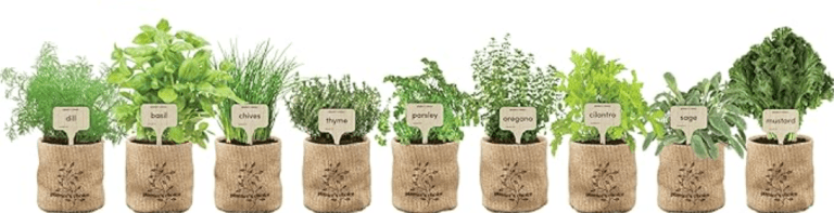 Indoor Herb Gardening