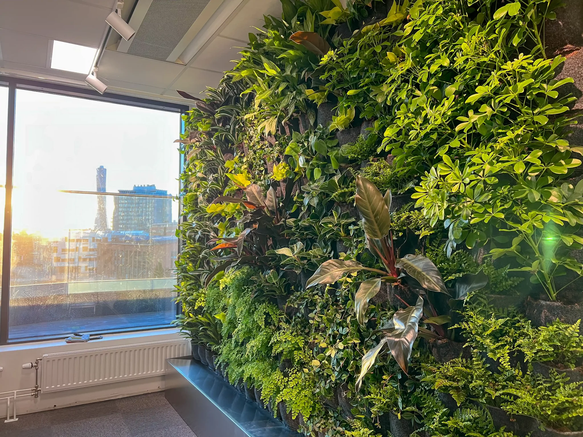 Växtvägg inne på kontor i Malmö
