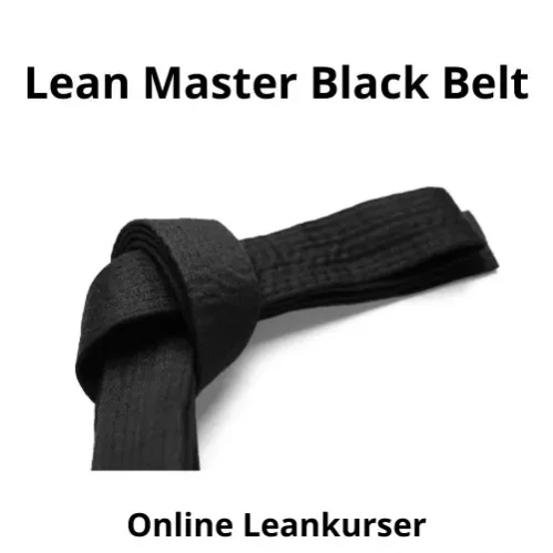 Lean Master Black Belt