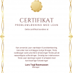 certifikat for kursus i problemløsning