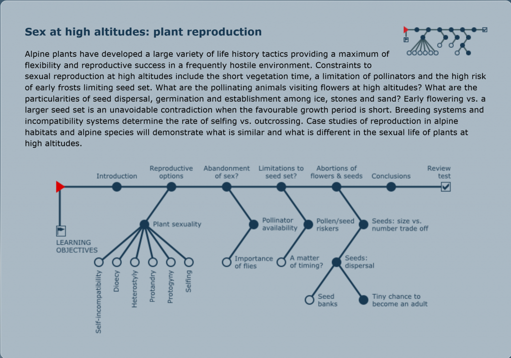 Alpandino :: Sex at high altitudes: plant reproduction :: Protogyny