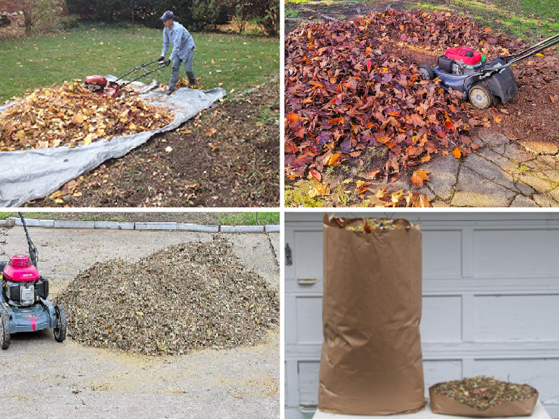 Leaf mulching blades cheap