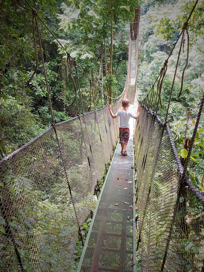 Ein Junge beschreitet furchtlos eine Hängebrücke über einer tiefen Schlucht in einem Urwald in Costa Rica. 