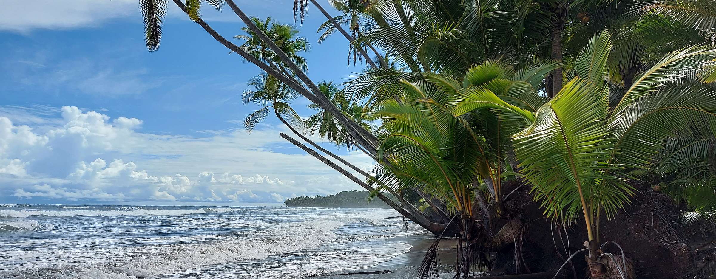 Rauschende Brandung an einem mit Palmen bewachsenen Strand in Costa Rica