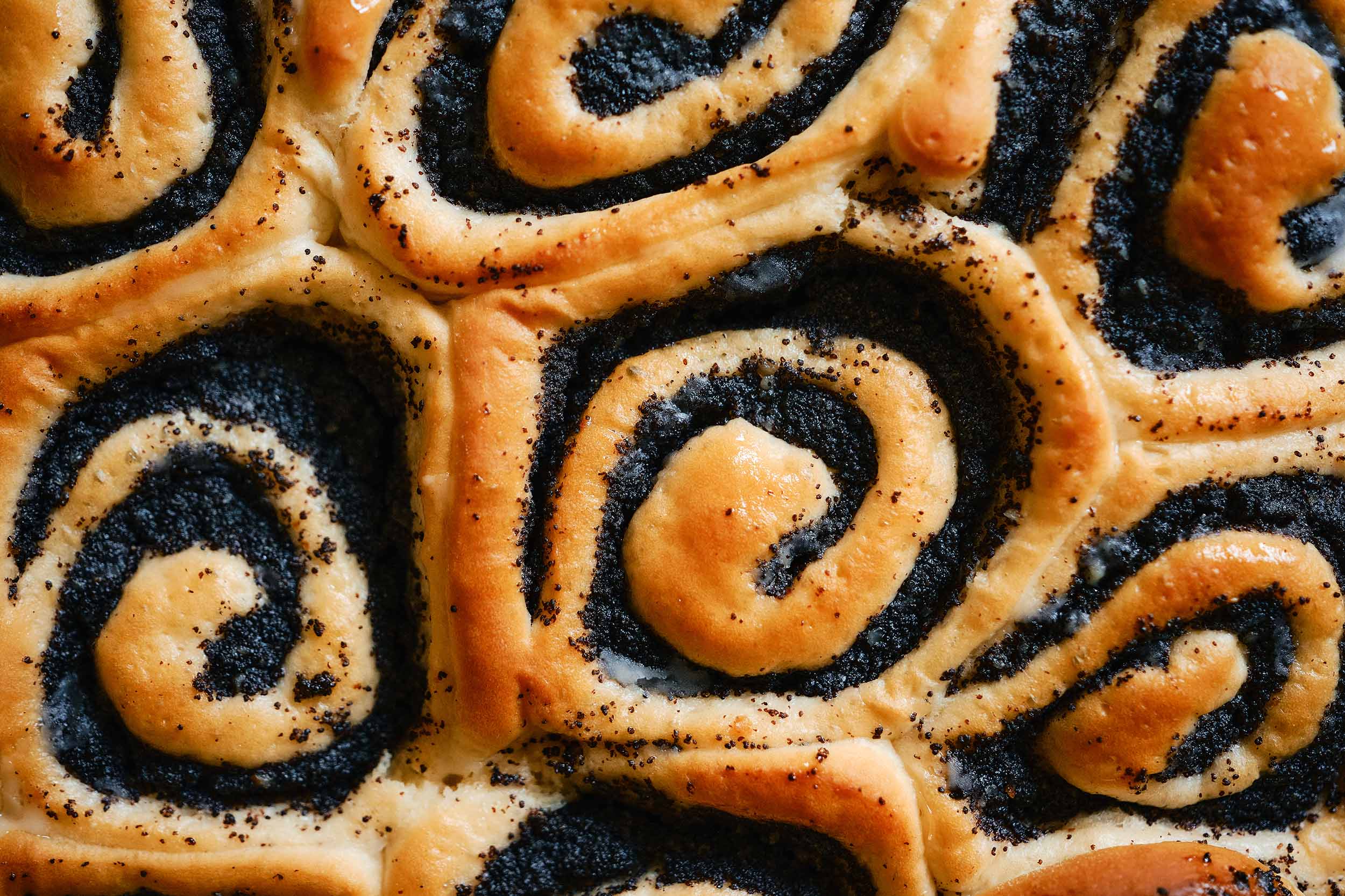 Mohnschnecken