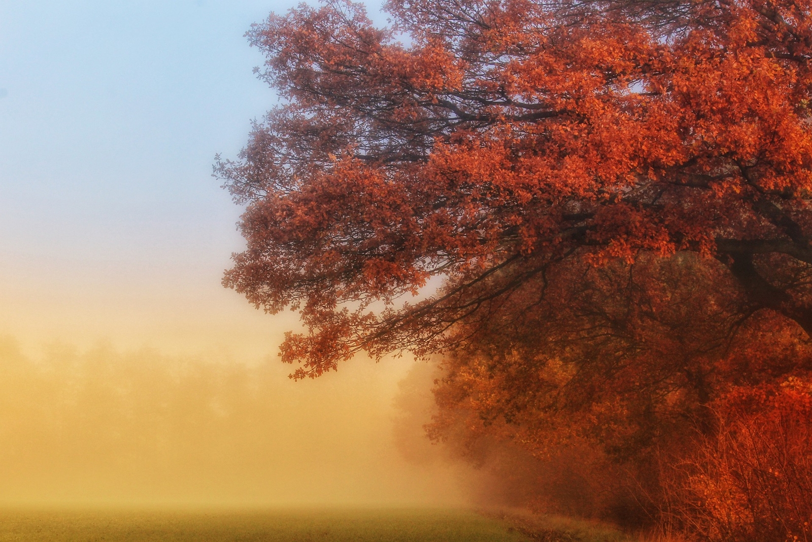 Guten Morgen! Goldener Oktober - LEDERTASCHENMANUFAKTUR