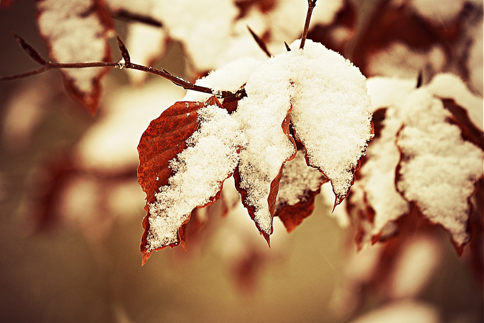 Schnee Winterwetter - LEDERTASCHENMANUFAKTUR