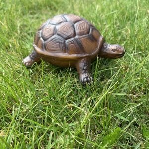 Green Rubber Toys - skildpadde