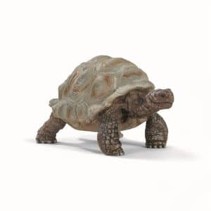 Schleich Giant Tortoise