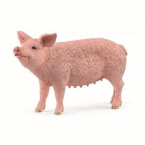 Schleich Pig