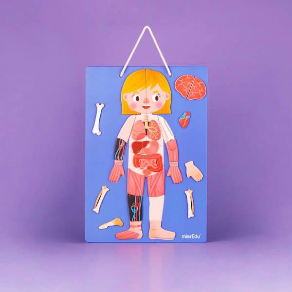 mierEdu - Magnetisk legesæt - All About Body and Emotion (engelsk) - Image 3