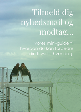 nyhedsmail_guide