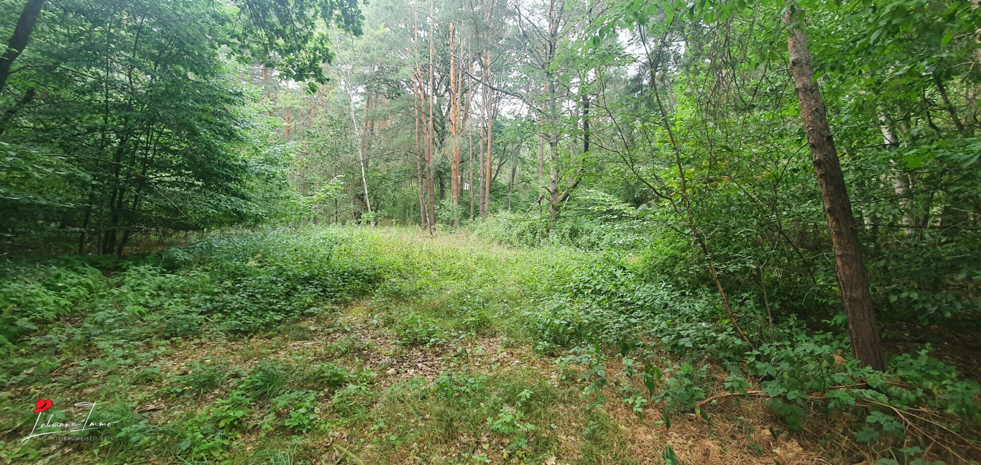 Wald_03