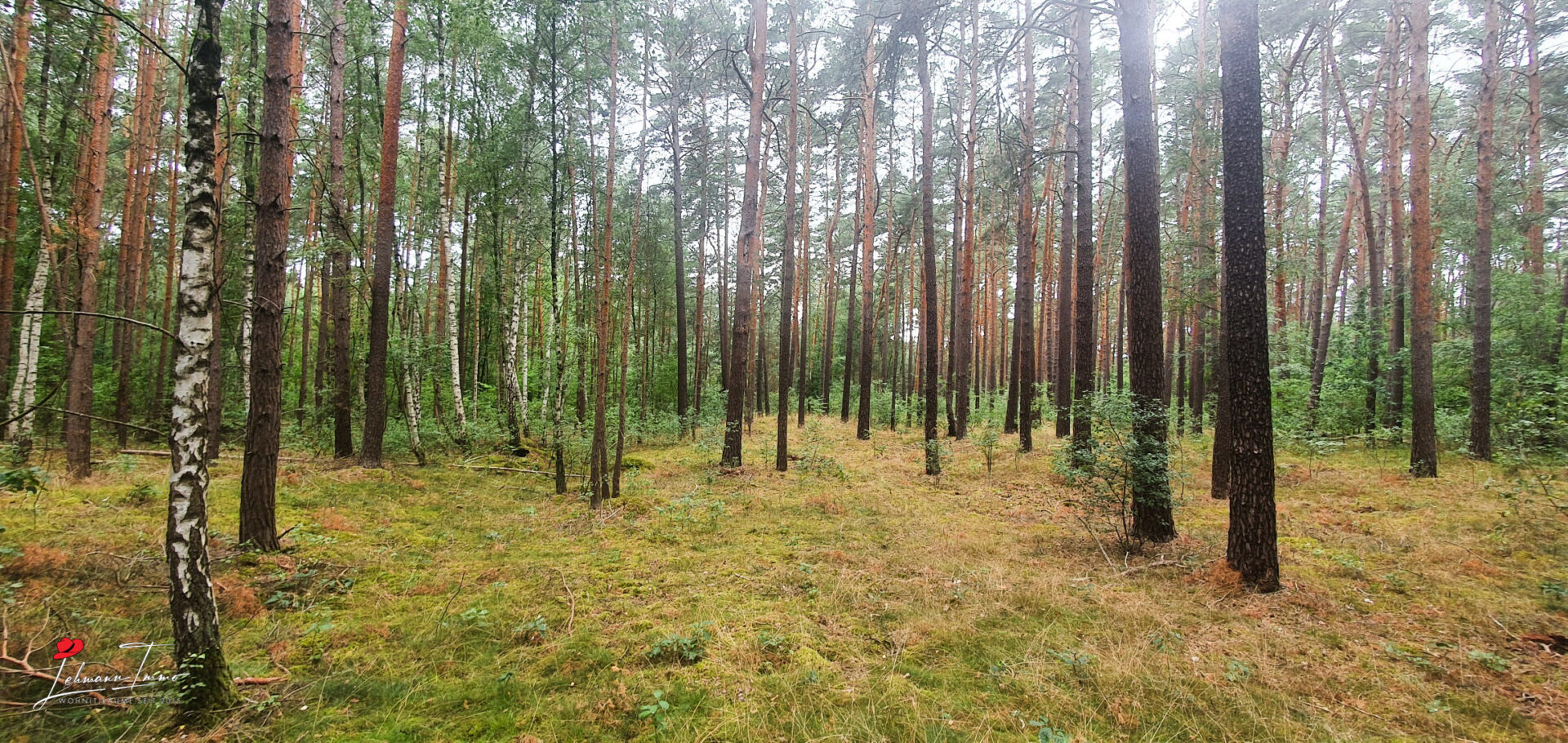 Wald_05