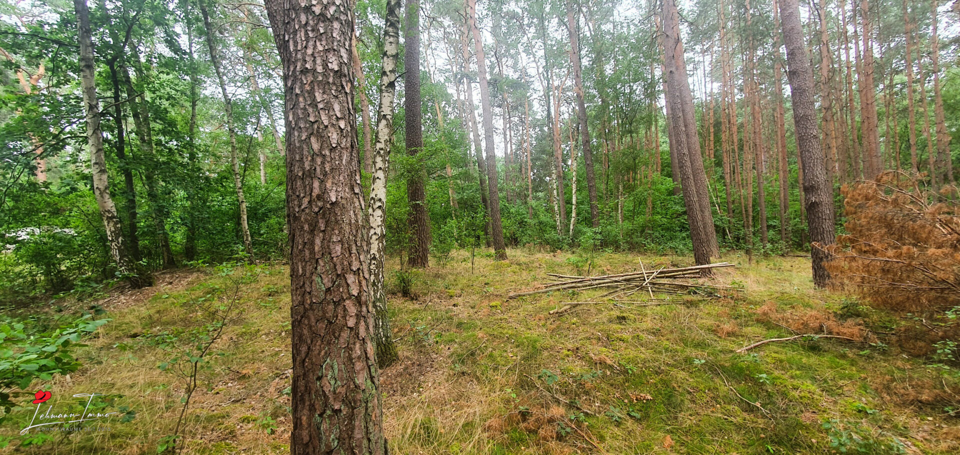 Wald_06