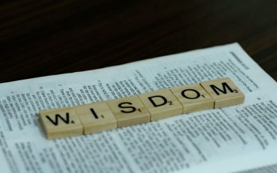 Visdom – Hva er veien til visdom?